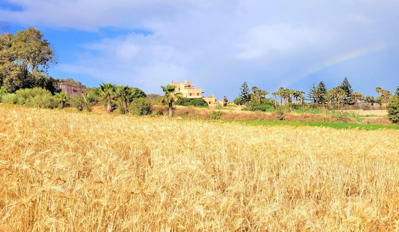 אולידיה Maison De La Lagune חדר תמונה